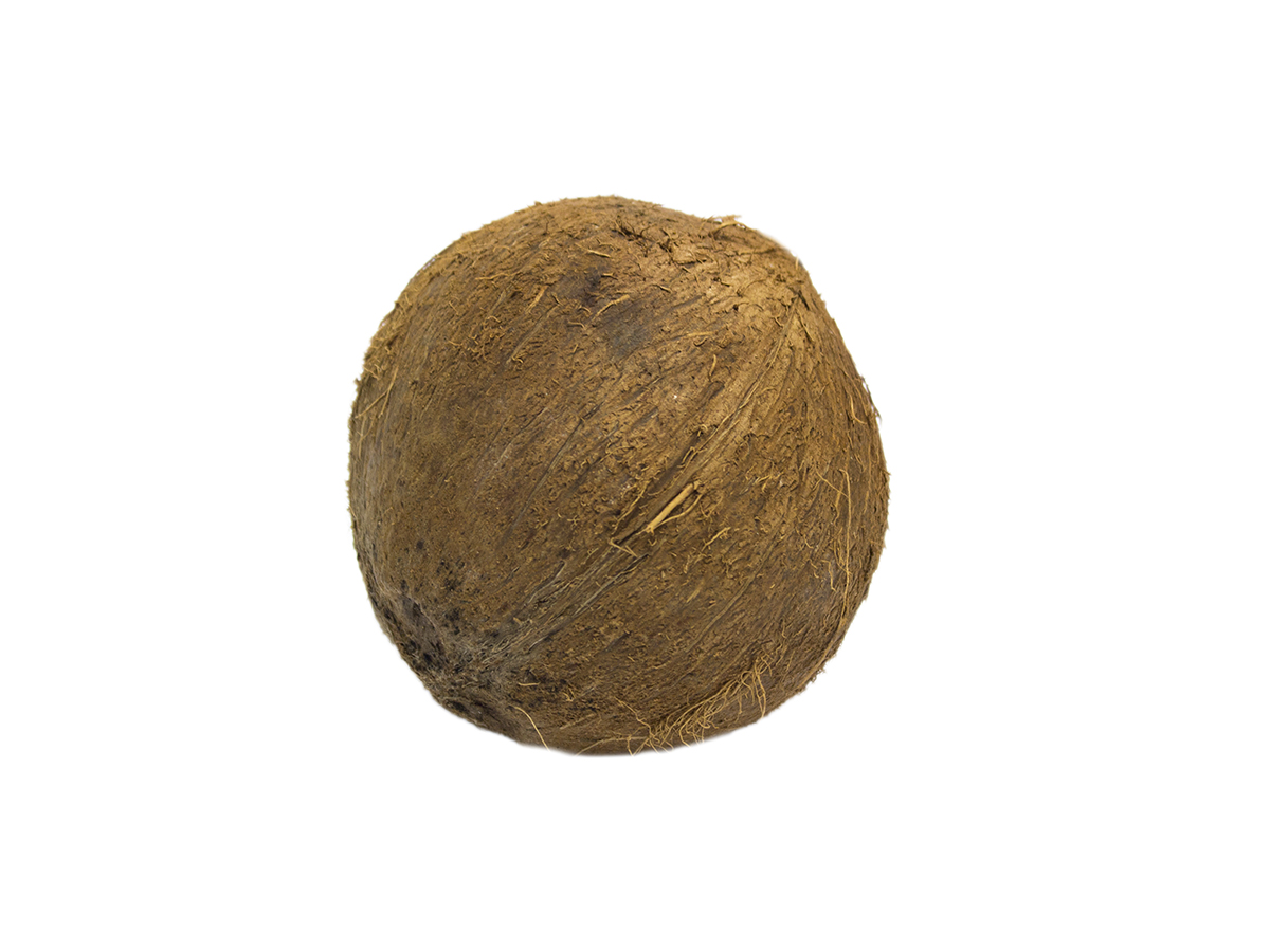 Kokosový orech 400+ čerstvý 1ks