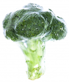 Brokolica čerstvá 500g fólia
